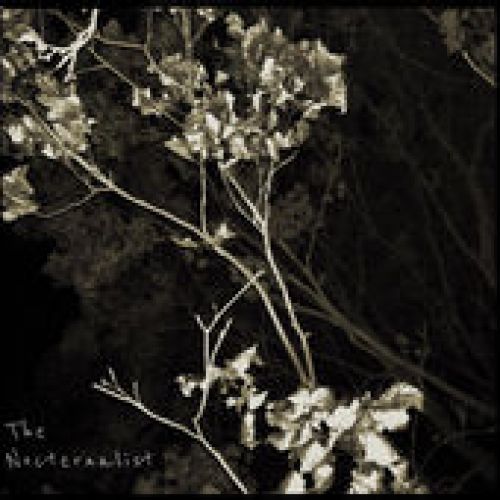 Dusty Shags – The Nocternalist: Music