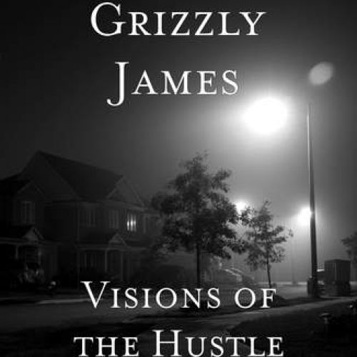 Grizzly James – Visions of the Hustle: Music