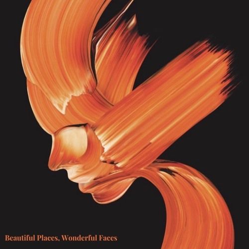 Lonesum - Beautiful Faces, Wonderful Places, Mixtape Cover Art