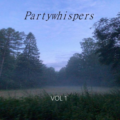 Partywhispers – Notice me.: Music