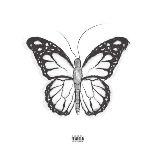 naldooo – NIGHTBUTTERFLY: Music